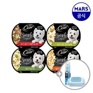 시저 심플리 크래프티드 15개골라담기+애견칫솔+베베숲물티슈