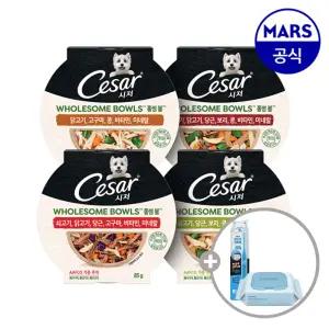 시저 홀썸볼 10개골라담기+애견칫솔+베베숲물티슈