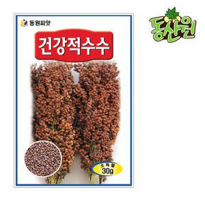 적수수씨앗 30g 키작은 찰수수종자 곡물씨앗 텃밭채소