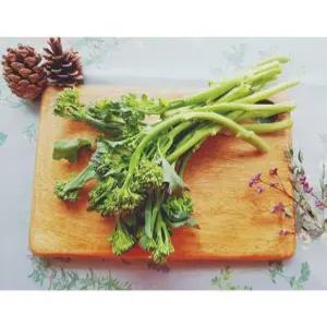 브로콜리니 (베이비브로콜리) 1kg