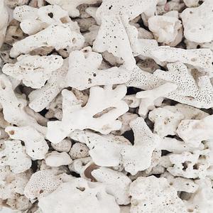 뼈다귀 뼈산호 30~50mm, 1kg 해수어 시클리드 소라게 용품 어항 바닥재 ph