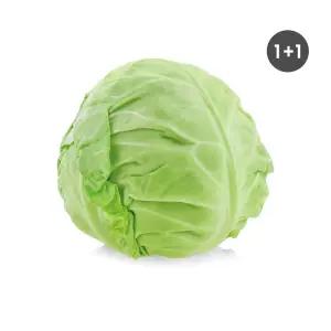 국내산 유기농 양배추 (총4kg) 전남 무안