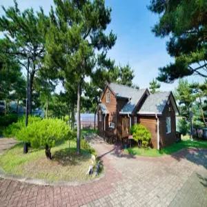 [충남] 태안 드르니오션리조트(충남, 태안)