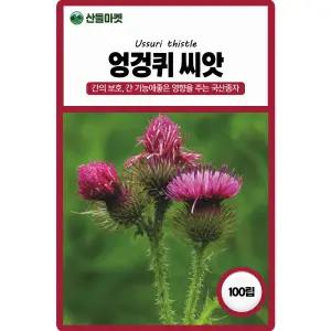 산들마켓 엉겅퀴 씨앗 100립 간 기능에 좋은 영향을 주는 국화과 재래종 약초 국산 종자