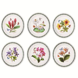 포트메리온 엑소틱 보타닉가든 대접시 6P