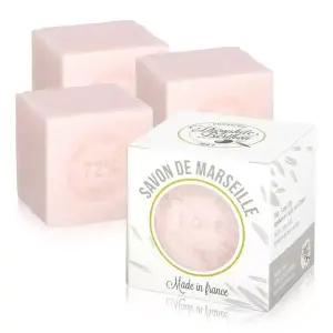 데오필 버톤 마르세유 비누 100g x 4 - 로즈