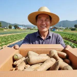 [팜보스]못생겨도 맛은 얼짱 못난이 당근 산지수확 3kg 5kg 10kg