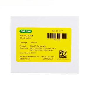 전기영동 얇은 유리판 보레 소형 수직 짧은 BIO-RAD 고무  1653308