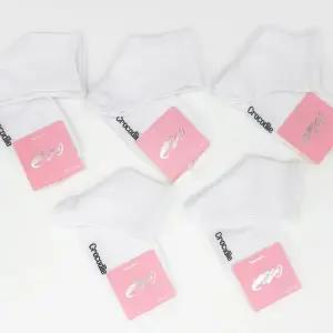 여성 밴딩 크로커다일 중목양말 5켤레 ELY 8004 설명절 정장양말 장목 신사정장양말 밴딩