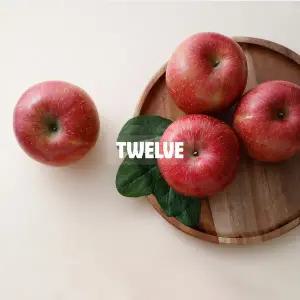 [트웰브] 당도 좋은 강원 정선 정품 아삭사과 중대과 1.5kg(5과) 개당 300g내외