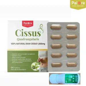 뉴질랜드 파이오라 시서스 추출물 가루 알약 1000mg 90정(3개월분)