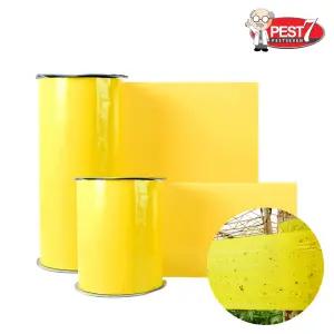 갈색날개매미충 총채벌레 작은뿌리파리 나무좀 가루이 미소해충 농업용트랩 해충 나방 농업용 비닐하우스용