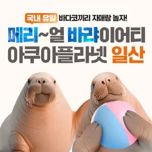 [일산] 아쿠아플라넷 입장권(3/1~3/31)