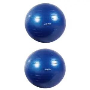 렉스파 짐볼 출산 임신 홈트 피트니스볼 블루 X2