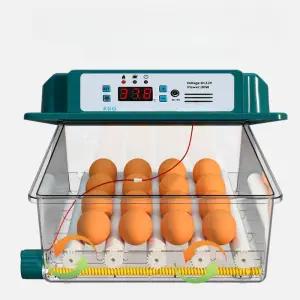 병아리부화기 계란 병아리 거위 자동부화기 메추리알 만들기