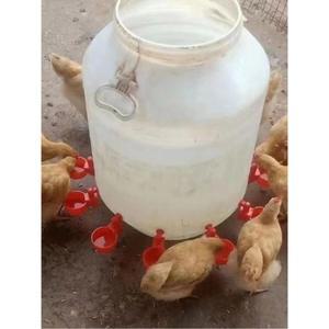 양계장 자동 급수기 모이통 거위 오리 조류 음수대 급수대 물통 식수 병아리