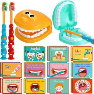 스카이티 2세트 치과용 놀이 세트 칫솔 교육 카드가 포함된 치아 모델 표준 크기 가짜 보조기 시범