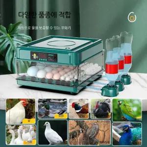 가정용 자동 부화기 스마트 온습도 조절 계란 인큐베이터 조류 부화기