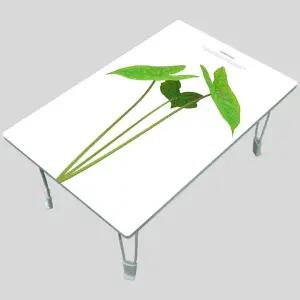 집들이선물추천 원룸 거실 그림 액자 겸용 접이식 좌식 테이블 베스트 014-칼라디움 우아