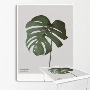 집들이선물추천 원룸 거실 그림 액자 겸용 접이식 좌식 테이블 42-몬테라TWO