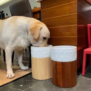 대형견밥그릇 세라믹 식기 스테인레스 원목 그릇 식탁