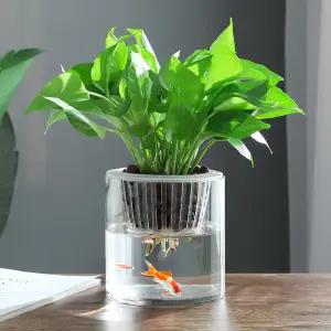 화초용 인테리어 원통형 작은 수경재배 유리용기 식물