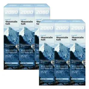 2080 퓨어치약 화이트 프레쉬민트향 120g X 6개