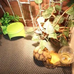 3in1 파충류 매트 보습 방수 패드 바닥재 40 x 40cm 거북이키우기 육지거북이