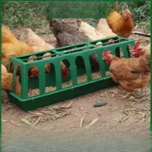 닭 먹이 양계장 먹이통 모이 오리 사료 급식기 닭모이 가축 자동 오골계 사료통