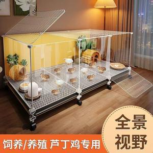 메추리 키우기 병아리 집 사육장 미니메추리 하우스 육추기 케이지