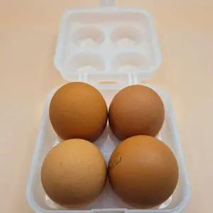 [하프클럽/셀러허브_여성트랜드패션]계란보관함 여행용 계란케이스 달걀보