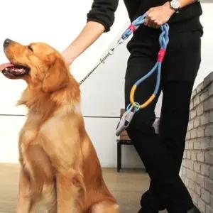 강아지 리드줄 목줄 개줄 꽈배기 애견 반려견 줄 60CM