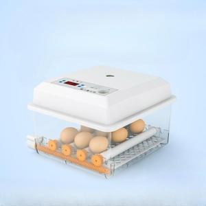 계란 달걀 병아리 부화기 가정용 조류 자동부화기