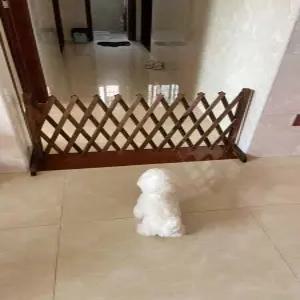 펜스 나무 접이식 파티션 애견 가림막 안전망 난간 울타리