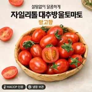 망고향 자일리톨 대추방울토마토 1kg 달콤고당도 프리미엄 방울토마토