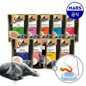 [24+24] 쉬바 수제수프 24개+파우치 24개 골라담기+고양이낚시대+베베숲물티슈