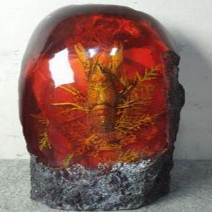 대형 호박속의 가제 높이 21cm 무게 2.5kg 단초마을 골동품/앤틱/수집품