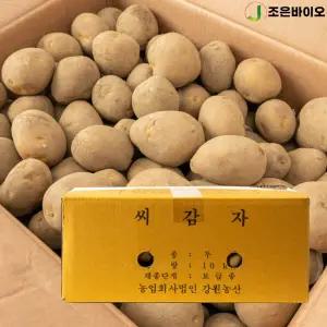 강원농산 두백씨감자 10kg 감자씨 주말농장 모종