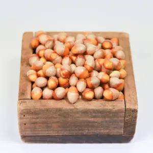 은행열매 깐은행 1kg 대사이즈 구이 은행알