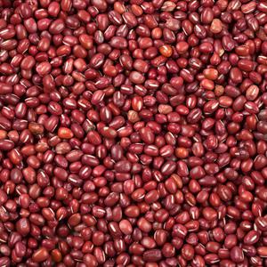 국산 팥 적두 1kg l 동지 팥죽 팥빙수 팥빵 잡곡 l 지퍼팩 소포장