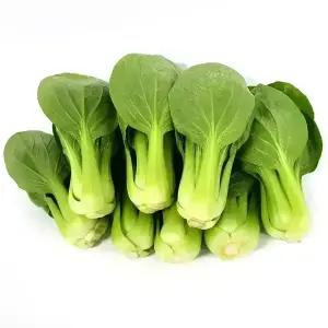 청경채 4kg 원물 최상급 안전포장 국내산 신선한 나물 반찬 쌈채소 샤브용 청경채 (CS불가상품)