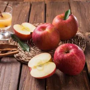 갈아먹는 주스용 못난이 사과 10kg 랜덤과