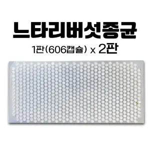 느타리버섯종균 접종형 캡슐형 총알버섯종균 재배 백화고 2판