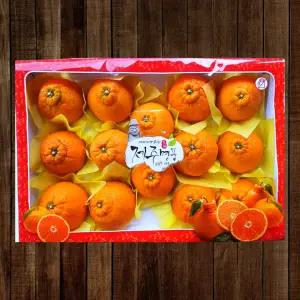 [제주땡큐베리팜영농조합법인]제주 한라봉 선물세트 5kg