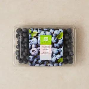 칠레산 블루베리 310g 팩