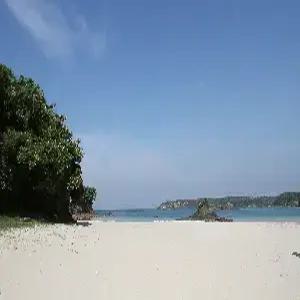 대마도 1일 #쓰시마링크호 #히타카츠 버스투어 #중식포함 #당일여행 #밸류마트