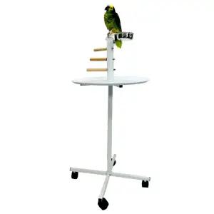 넓은 쟁반 앵무새 놀이터 횃대 회색 뉴기니아 아마존 대형앵무새 용품