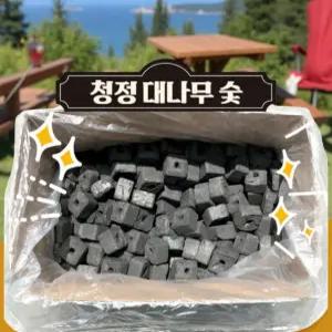 연기 안나는 숯 캠핑 용품 숯불 바베큐용 구이용 고기 무연  참숯 조개탄 10kg