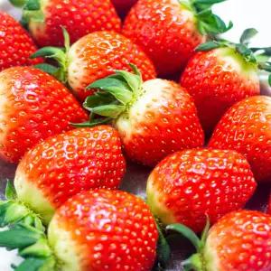 국내 킹스베리 딸기 생과 겨울 제철 세트 특 왕특 대왕특 800g