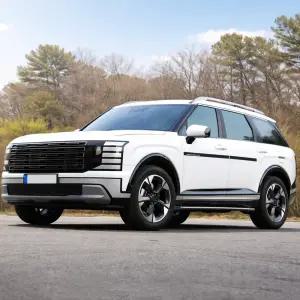 디올뉴 팰리세이드 문콕방지 몰딩 도어가드